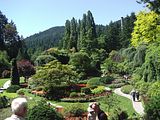19 - Butchard Gardens  - IMGA0258